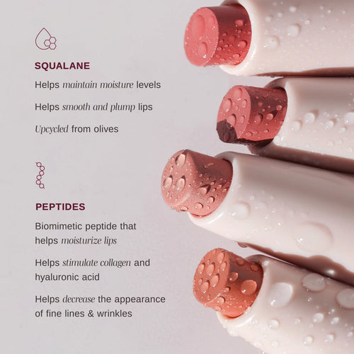 Lipsetter dual lipstick and liner key ingredients with squalane and peptides